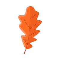 esdoorn- blad herfst illustratie vector