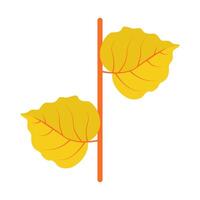 esdoorn- blad herfst illustratie vector