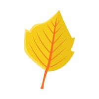 esdoorn- blad herfst illustratie vector