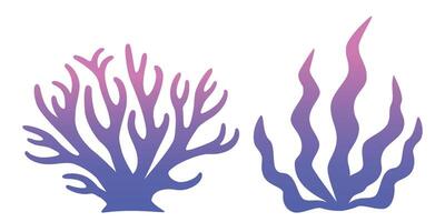 marinier plant, aquatisch algen, koraal. onderwater- planten. vector illustratie.