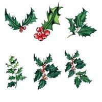 kerst vector illustratie ontwerp hulst bladeren set