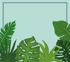 monstera tropische banner vector