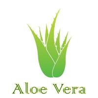 aloë vera icoon logo vector ontwerp sjabloon