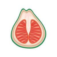 tropisch fruit icoon vector