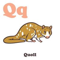 quoll alfabet tekenfilm karakter voor kinderen vector