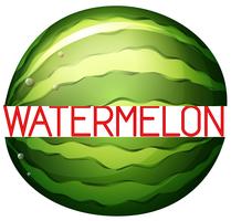 Watermeloen vector