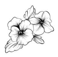 hand- tekening van een boeket van bloemen viooltjes vector