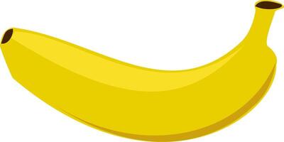 banaan premie - een detailopname perspectief Aan een bundel van mollig bananen, markeren hun natuurlijk schoonheid en bevorderen de overvloed van gezond fruit. banaan vector illustratie.