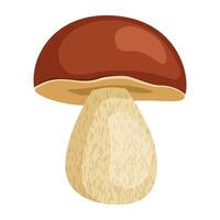 boletus paddestoel. herfst en zomer Woud seizoensgebonden paddestoel. boletus Aan een wit achtergrond vector