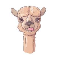 hand getekend portret van schattige alpaca vector. vector