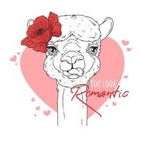 hand getekend portret van schattige alpaca vector. vector