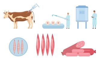 vlak kunstmatig gekweekt rundvlees vlees productie werkwijze. koe biopsie, cellen en spier groei, laboratorium bioreactor. voedsel wetenschap vector infographic