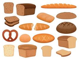 tekenfilm brood producten. geroosterd brood plak, gebakken Frans stokbrood, tarwe en geheel graan brood, zoute krakeling en ciabatta. vers bakkerij gebakje vector reeks