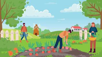 herfst bijeenkomst. mensen verzamelen oogst, Mens plukken wortel en rode biet, vrouw Holding mand met groenten vector