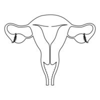 doorlopend single een lijn tekening baarmoeder en eierstokken, organen van vrouw voortplantings- systeem en vrouwen dag vector kunst illustratie
