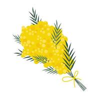 mimosa bloem boeket, tekenfilm stijl. modieus modern vector illustratie geïsoleerd Aan wit achtergrond, hand- getrokken, vlak