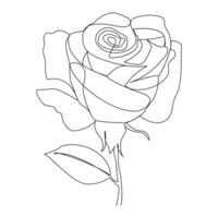 doorlopend een lijn roos bloem getrokken schets vector kunst illustratie en Valentijnsdag dag lijn kunst ontwerp