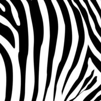 tijger patroon. zebra patroon. gestreept leer, lineair patroon. abstract patroon, lijn achtergrond, kleding stof. ontwerp van groet kaarten, affiches, pleisters, prints Aan kleren, emblemen. vector
