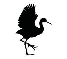 zwart en wit Afrikaanse jacana silhouet. vector illustratie.