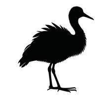 vector, geïsoleerd silhouet van Afrikaanse jacana. vector