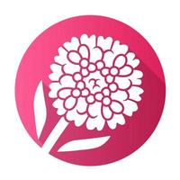 candytuft roze platte ontwerp lange schaduw glyph pictogram. aster tuin bloem. Iberis groenblijvende vaste plant. bloeiende wilde bloem. lente bloesem. vector silhouet illustratie