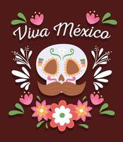 viva mexico kaart vector