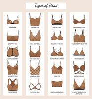 types van beha's. groot vector verzameling van lingerie. reeks van ondergoed, balkonnetje, strapless, ongevoerd, super opdrukken, zachte cup, lange rij, sport, demi en driehoek beha. reeks van geïsoleerd pictogrammen met beha's.