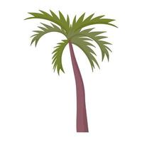 palmboom gebladerte tropische exotische plant pictogram cartoon vector