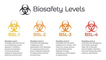 bioveiligheid niveaus bsl vector illustratie infographic of laboratorium veiligheid