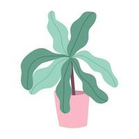 potplant gebladerte cartoon plat geïsoleerde stijl vector