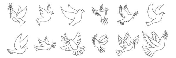 verzameling tekening duiven geïsoleerd Aan wit achtergrond. schets duif. hand- getrokken vector kunst.