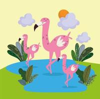schattige flamingo's in het meer vector
