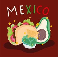 mexico cultuur eten avocado taco guacamole nacho's vector