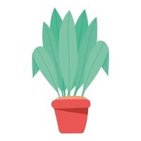 plant in rode pot vector