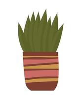 plant in pot vector