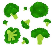 tekenfilm kleur broccoli icoon set. vector