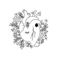 bloemen anatomisch hart voor valentijnsdag dag kaart, kleur bladzijde met liefde gezond geïsoleerd element, romantisch poster. schattig bloeiend anatomisch menselijk hart, zwart en wit hand- getrokken vector illustratie