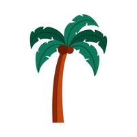 boom palm natuur vector