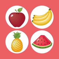 fruit symboolset vector