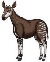 okapi vector