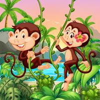 Twee aapjes op het eiland vector