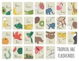 tropische alfabetkaarten voor kinderen. schattige cartoon abc set met exotische dieren, vogels, fruit, insecten. grappige jungle-flashcards voor het leren lezen of klanken voor kinderen. Engelstalige brievenpakket vector