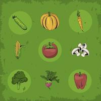 gezonde en biologische groenten symboolset vector
