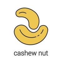 cashewnoot kleur icoon. geïsoleerde vectorillustratie vector