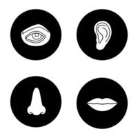 gezichts lichaamsdelen glyph pictogrammen instellen. oog, neus, oor, lippen. vector witte silhouetten illustraties in zwarte cirkels