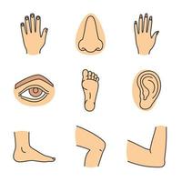 menselijke lichaamsdelen gekleurde pictogrammen instellen. mannelijke en vrouwelijke handen, neus, oog, voeten, oor, ellebooggewricht, knie. geïsoleerde vectorillustraties vector
