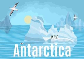 antarctica pinguïns en albatrossen op ijsbergen vector