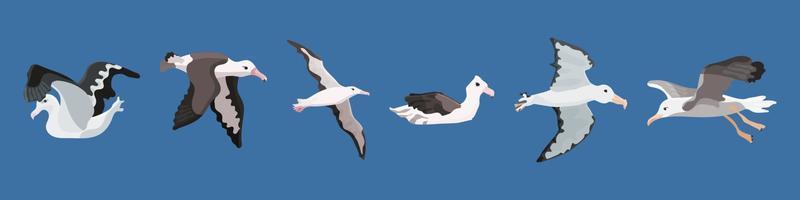albatrosvogel van de zuidelijke zeeën en antarctica vector