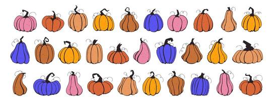 reeks pompoenen, squash vector symbolen illustraties. retro 90s stijl pompoenen, halloween squash, vallen oogst kalebassen. herfst dankzegging en halloween pompoenen verzameling.