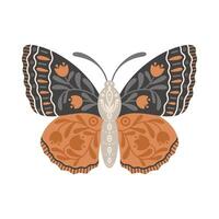 vlinder icoon met bloemen ornament. wijnoogst mystiek vlinder of mot. vliegend hemel- insect, vector illustratie